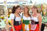Malted Masterpieces in the Motherland: Beer Festivals in Europe