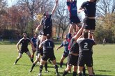 Chicago Lions RFC