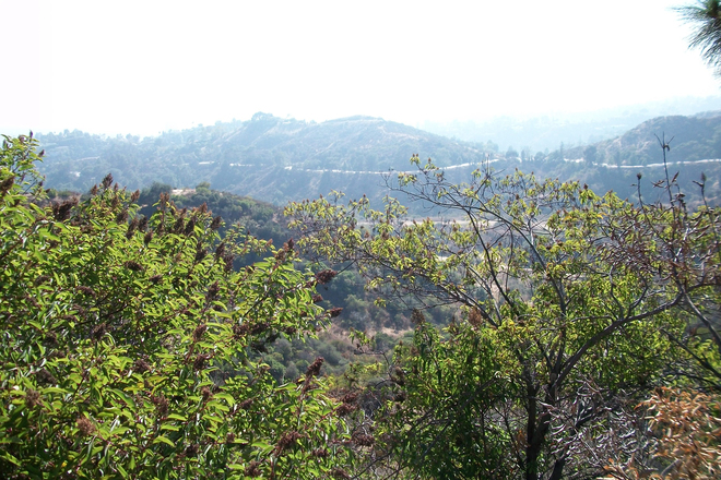 Photo of Griffith Park