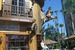 Saddle Ranch Chop House - Bar | Restaurant in Los Angeles.