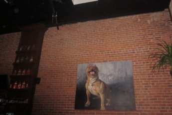 John Colins - Bar | Club | Lounge in San Francisco.