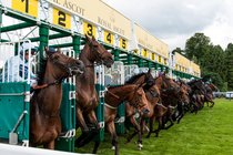 Royal-ascot_s210x140