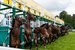 Royal Ascot - Horse Racing | Sports in London.
