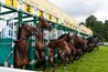 Royal Ascot - Horse Racing | Sports in London.