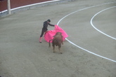Bullfights-at-las-ventas_s165x110