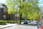 Allston-brighton_s165x110