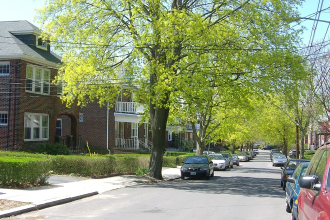 Photo of Allston / Brighton, Boston