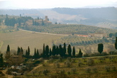 Chianti Region - Culture | Drinking Activity | Outdoor Activity | Winery in Florence.
