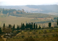 Chianti Region - Culture | Drinking Activity | Outdoor Activity | Winery in Florence.