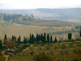 Chianti Region - Culture | Drinking Activity | Outdoor Activity | Winery in Florence.