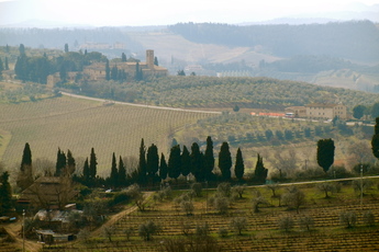 Chianti Region - Culture | Drinking Activity | Outdoor Activity | Winery in Florence.