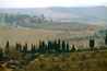 Chianti Region - Culture | Drinking Activity | Outdoor Activity | Winery in Florence.