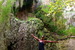 Escondido Falls - Outdoor Activity | Park in Los Angeles.