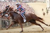 Palio di Siena - Festival | Sports in Florence.