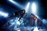 War-horse_s159