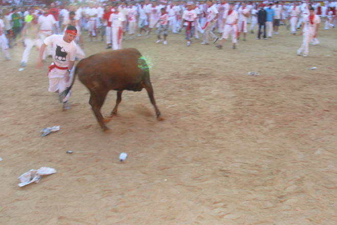 Photo of Pamplona: The Running of the Bulls