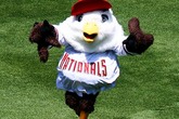 Nationals-park_s165x110