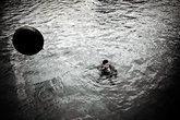 Bonobo_s165x110