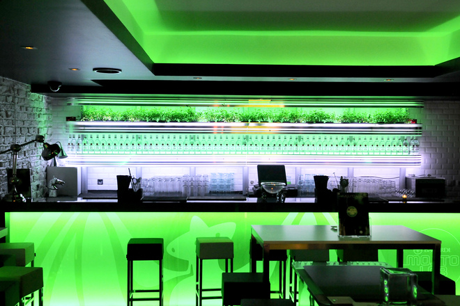 Photo of Bacardi Mojito Lab