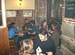 La Chilostra - Spanish Restaurant | Tapas Bar in Madrid.