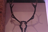 Bardens-boudoir_s165x110