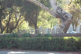 Griffith-park_s165x110