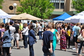 Sowa-open-market_s165x110