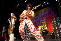 Fan-halen_s210x140