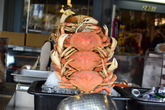 Fishermans-wharf_s165x110