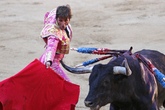 Bullfights_s165x110
