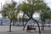 Port-olimpic-barceloneta_s165x110