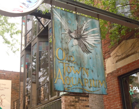 Old Town, Chicago.