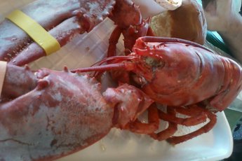 The Port Of Los Angeles Lobster Festival - Food Festival in Los Angeles.