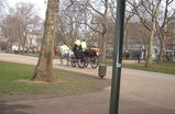 Hyde-park_s159