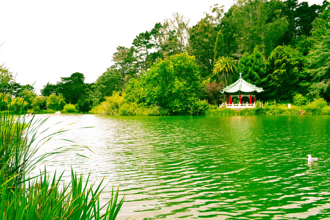 Photo of Golden Gate Park