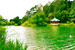Golden Gate Park - Culture | Outdoor Activity | Park in San Francisco.