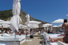 Blue Marlin