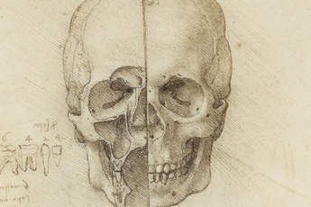 Leonardo da Vinci: Anatomist - Art Exhibit in London.