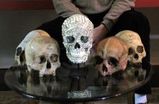 Morbid-curiosity-the-richard-harris-collection_s159