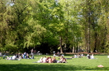 Englischer-garten_s159