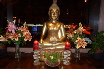 Maiia Thai - Thai Restaurant | Asian Restaurant in Madrid.