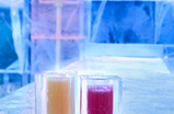 Icebar-london_s159