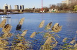 Boston-esplanade_s159