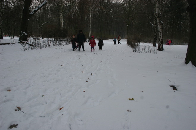 Photo of Tiergarten