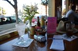 The-buena-vista_s159