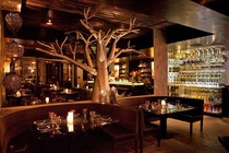 Tortilla Republic - Mexican Restaurant | Tequila Bar | Mexican Restaurant | Tequila Bar in Los Angeles.