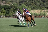 International Polo Cup - Polo | Sports in French Riviera.