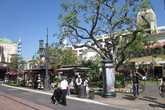 The-grove-farmers-market_s165x110