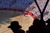 Bullfights_s165x110