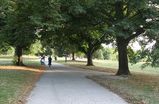 Prospect-park_s159